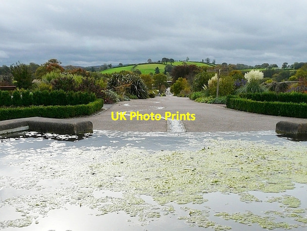 Photo 6"x4" View across the Mirror Pool Llanarthne c2008