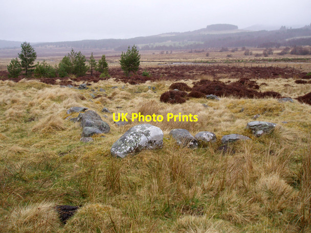 Photo 6"x4" Ruin near Dorback Burn Clachaig\/NJ0218 c2009
