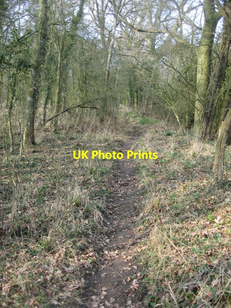 Photo 6"x4" How quickly a path can change Church End\/SU6756 c2009