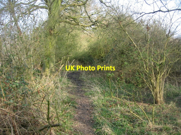 Photo 6"x4" A clear footpath Church End\/SU6756 c2009