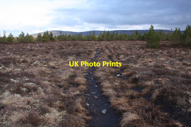 Photo 6"x4" Boggy track to Reeskie Carn Bad a' Churaich c2009