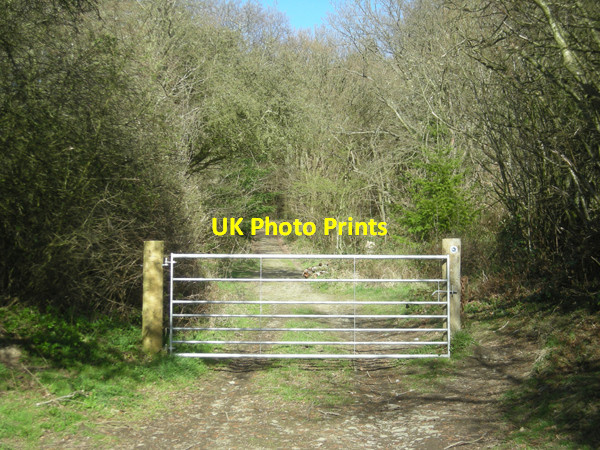 Photo 6"x4" Gate on the Jack Mytton Way Acton\/SO3184 c2009