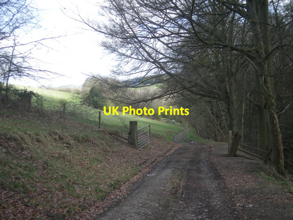 Photo 6"x4" Shropshire Way near Stanley Cottages Lower Down\/SO3384 c2009