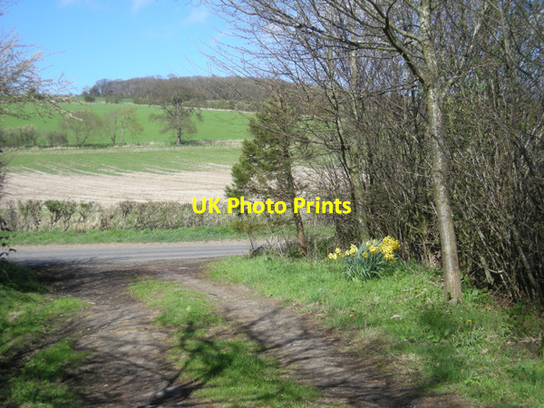 Photo 6"x4" About to leave the bridleway Newport\/SO3287 c2009