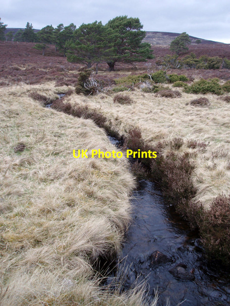 Photo 6"x4" Allt Choire Chomhlaig Carn Mheadoin c2009 P1