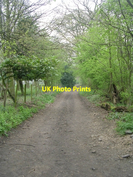 Photo 6"x4" Lees Lane - Syke Lane Norwood Green\/SE1326 c2009