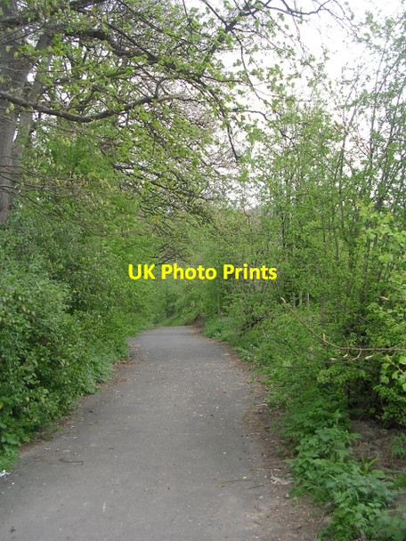 Photo 6"x4" Footpath - Baptist Lane Horbury c2009