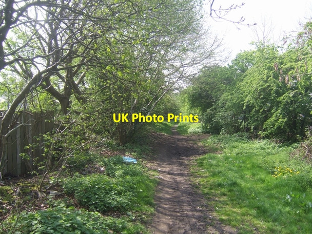 Photo 6"x4" Former colliery railway - Short Heath Bloxwich c2009