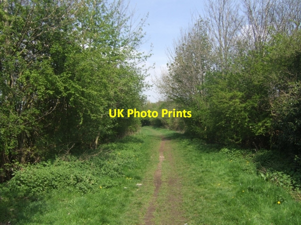 Photo 6"x4" Former colliery railway - New Invention Bloxwich c2009