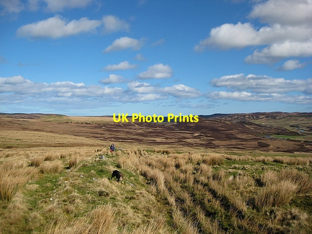 Photo 6"x4" On Bighouse Hill Upper Bighouse c2009