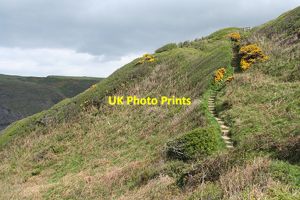 Photo 6"x4" St Gennys: steps on the coastpath Crackington Haven c2009