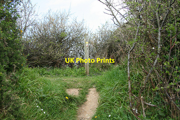Photo 6"x4" St Gennys: paths meet Mineshope c2009