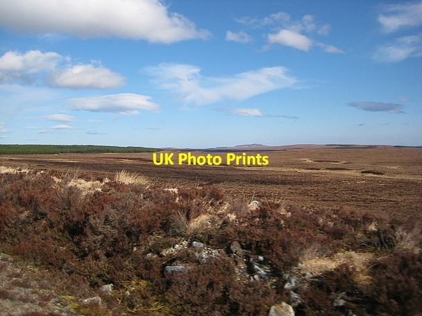 Photo 6"x4" Moorland, Dry Burn Forest Garbh-allt\/NC8245 c2009