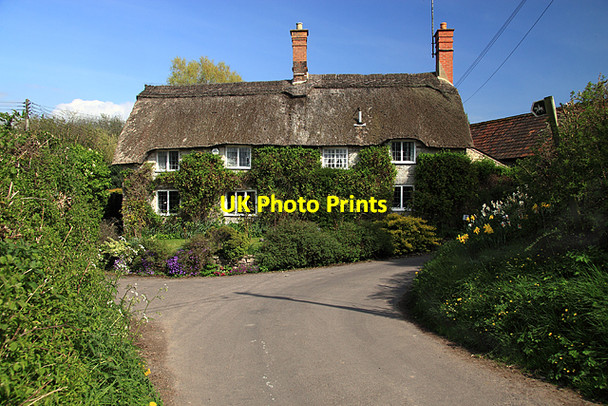 Photo 6"x4" Walnut Tree Cottage, Melbury Osmund Drive End c2009