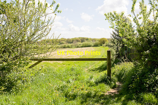 Photo 6"x4" Footpath from Forest Lane to Bere Farm Crockerhill\/SU5709 c2009