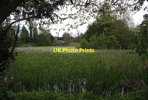 Photo 6"x4" Lake at Canon Frome Court Canon Frome c2009
