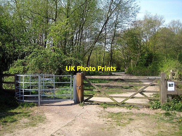 Photo 6"x4" Stanley Marsh Nature Reserve Stanley\/SE3424 c2009