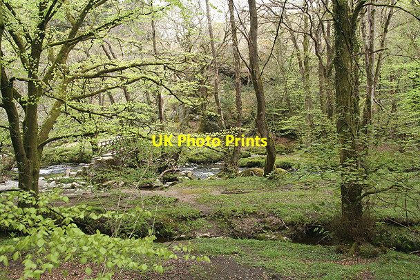 Photo 6"x4" Buckland Monachorum: near Double Waters Buckland Monachorum c2009