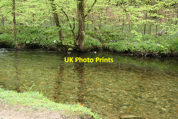 Photo 6"x4" Buckland Monachorum: river Walkham Grenofen c2009