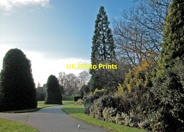 Photo 6"x4" Grosvenor Park Chester c2002
