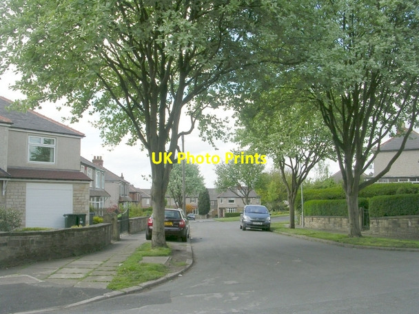 Photo 6"x4" Bolton Grove - Norman Avenue Bolton\/SE1635 c2009