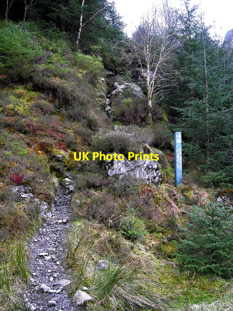 Photo 6"x4" Path to The Brack Ardgartan c2009
