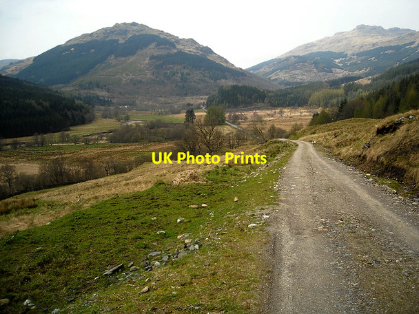 Photo 6"x4" Forest Track Near Lochgoilhead Lochgoilhead c2009