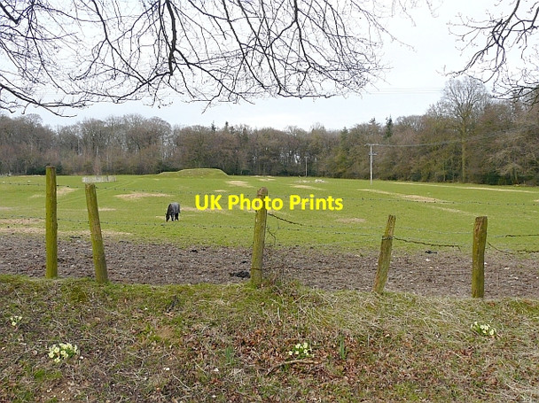 Photo 6"x4" Field opposite the Black Horse Checkendon c2009