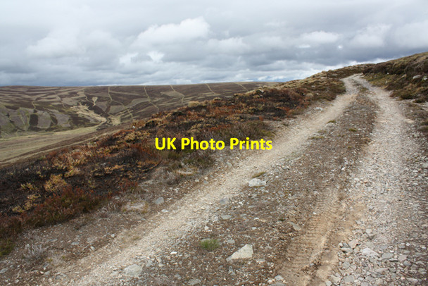 Photo 6"x4" Track above Glen Brown Carn Tuadhan c2009