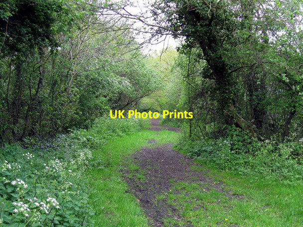 Photo 6"x4" Old Railway Track Telford c2009
