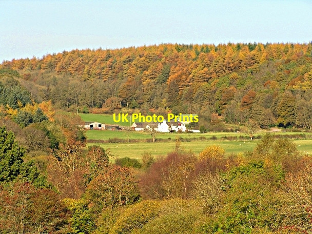 Photo 6"x4" South Glen with Autumn Colours Palnackie c2008