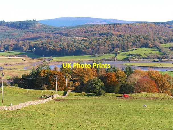 Photo 6"x4" Autumn Colours - North Glen Wood Palnackie c2008