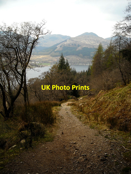 Photo 6"x4" Path Above Loch Goil Lochgoilhead c2009