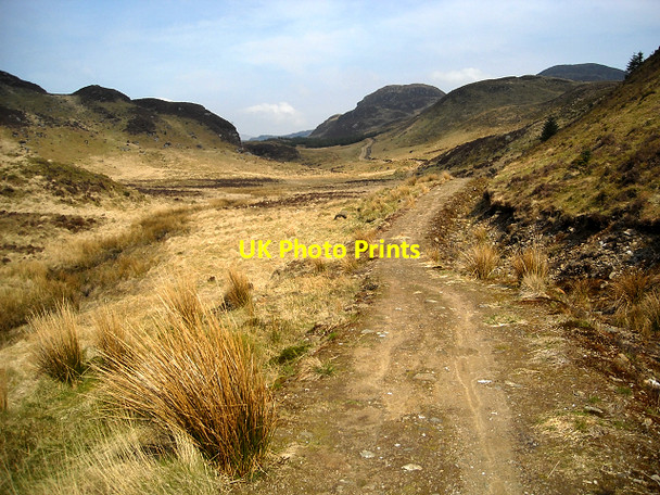 Photo 6"x4" Path from Corran Lochan Carrick Castle c2009