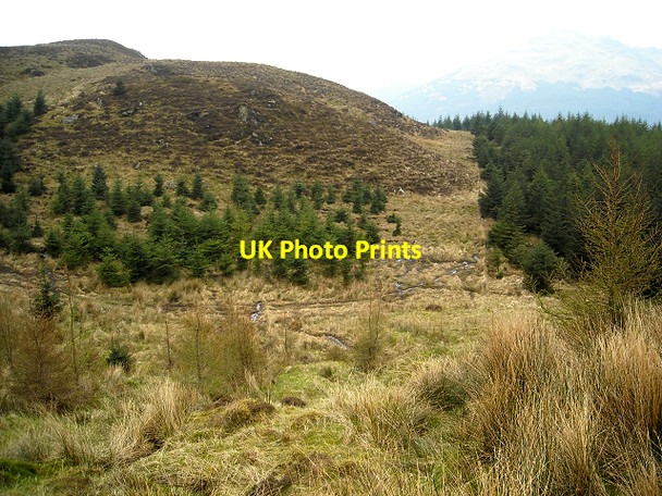 Photo 6"x4" Hillside Between Tom Molach And The Saddle Carrick Castle c2009