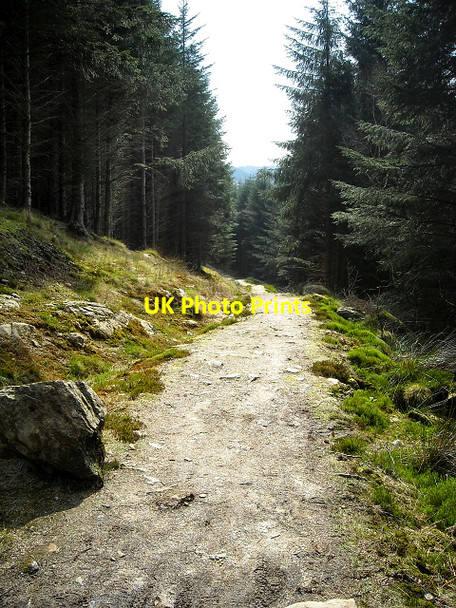 Photo 6"x4" Path to Corran Lochan Lochgoilhead c2009