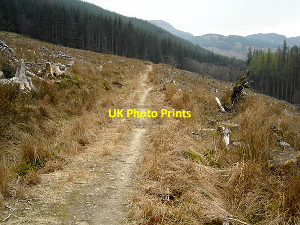 Photo 6"x4" Path from Lochgoilhead to Corran Lochan Lochgoilhead c2009