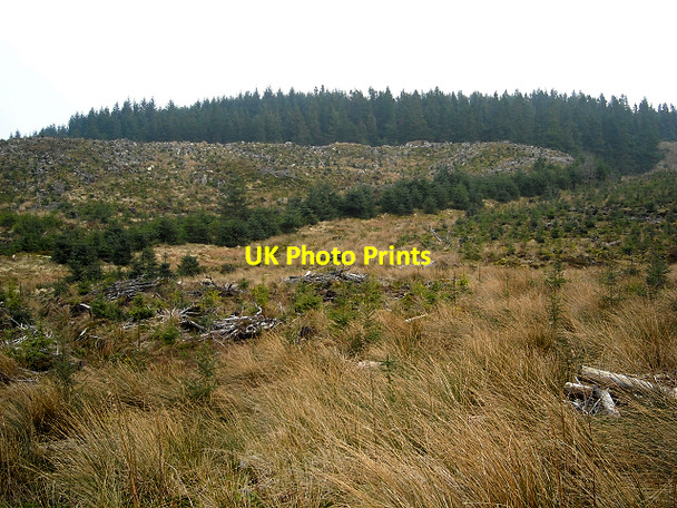 Photo 6"x4" Hillside in Loch Ard Forest Stob a' Choin Duibh c2009