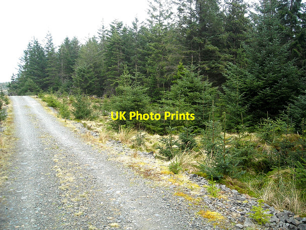 Photo 6"x4" Track in Loch Ard Forest Gualann c2009