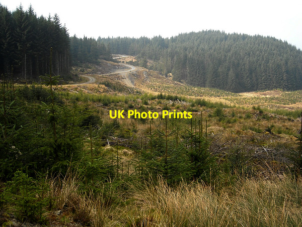 Photo 6"x4" Loch Ard Forest Gualann c2009