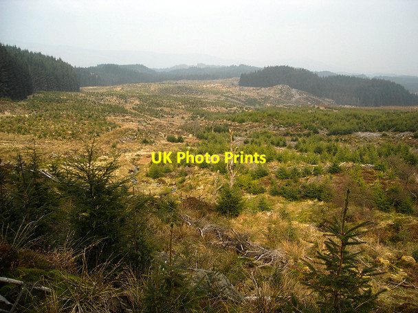 Photo 6"x4" Loch Ard Forest Gualann c2009 P1