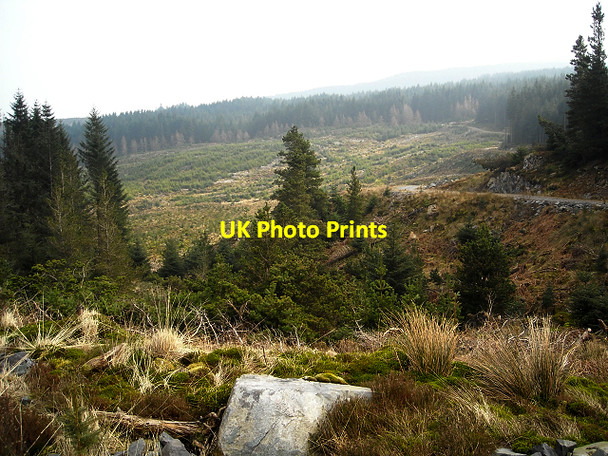 Photo 6"x4" Loch Ard Forest Gualann c2009 P2