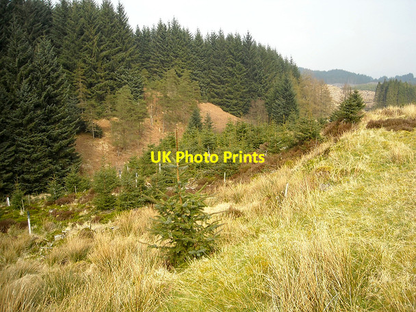 Photo 6"x4" Loch Ard Forest Lime Hill c2009