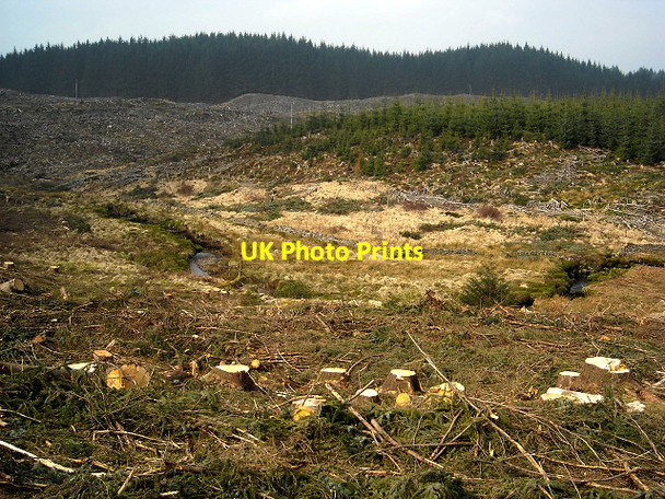Photo 6"x4" Meander on Kelty Water in Loch Ard Forest Lime Hill c2009