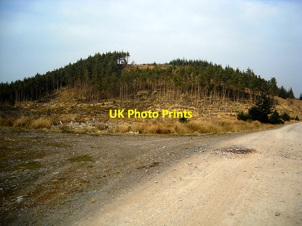 Photo 6"x4" Hill in Loch Ard Forest Maol an Iaruinn c2009