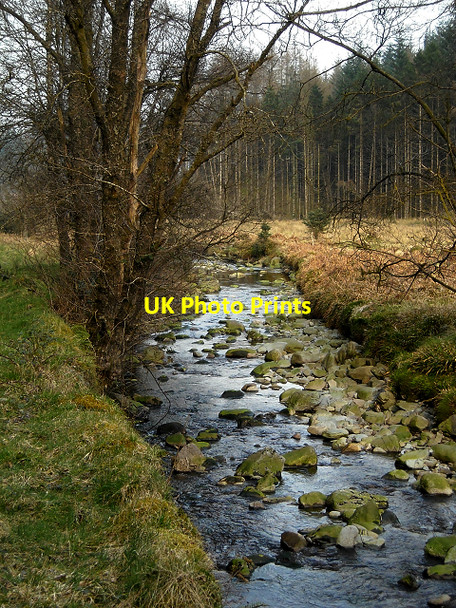 Photo 6"x4" Allt Clachanlaoigh in Loch Ard Forest Kinlochard c2009