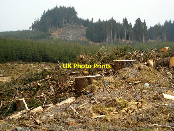 Photo 6"x4" Loch Ard Forest Lime Hill c2009