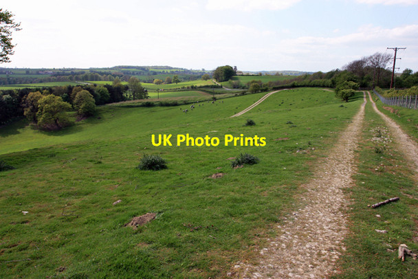 Photo 6"x4" Towards the A64 from Huttons Bank Wood High Hutton c2009
