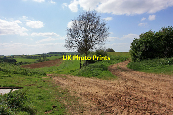 Photo 6"x4" Left, right, or straight on? Crambeck c2009