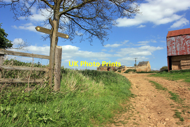 Photo 6"x4" Hutton Hill Farm Crambeck c2009